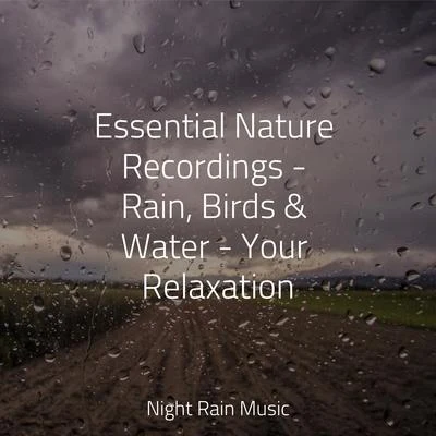 Academia de Música para Massagem e RelaxamentoWhite Noise BabiesPro Sound Effects LibraryEssential Nature Recordings - Rain, Birds & Water - Your Relaxation