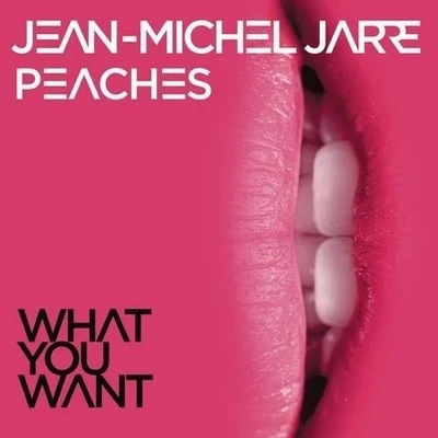 Jean Michel JarreWhat You Want