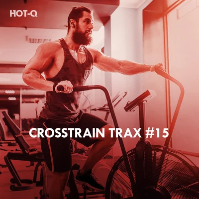 Hot-Q/The Fish House/Roque/Breno GontijoCrosstrain Trax, Vol. 15