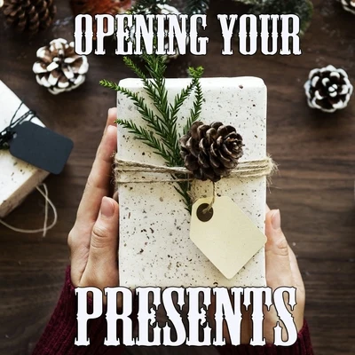 Best Christmas Songs/Instrumental/We Wish You A Merry ChristmasOpening Your Presents