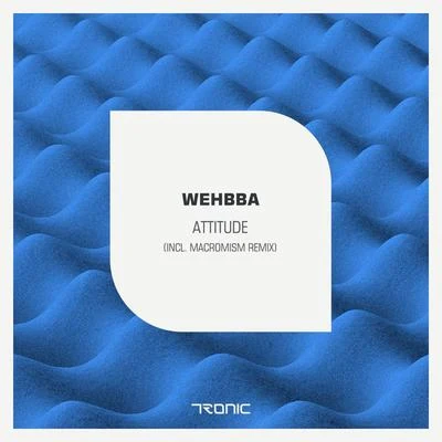 Wehbba/Pedro Delgardo/A.Paul/Odessa Soundfreaks/Christian FischerAttitude