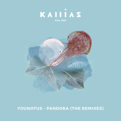 YouNotUsPandora (The Remixes)