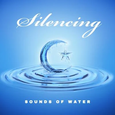 Entspannungsmusik Meer/Sleep Sound Library/Binaural Beats Isochronic Tones LabSilencing Sounds of Water - New Age Music Best for Deep Sleep