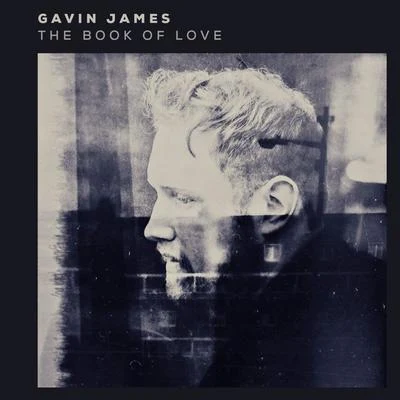 Gavin JamesThe Book of Love