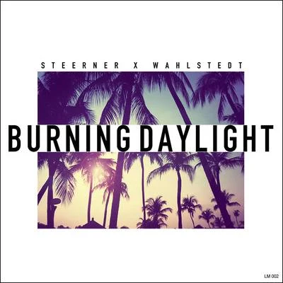 Steerner/Hechmann/LiamooBurning Daylight