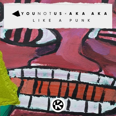 YouNotUsLike a Punk