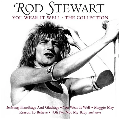 Rod StewartA-Type PlayerYou Wear It Well - The Collection