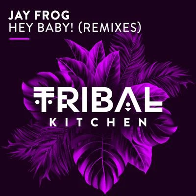 DJ Blackstone/Jay FrogHey Baby! (Remixes)