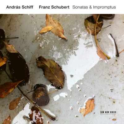 András SchiffFranz Schubert: Sonatas & Impromptus