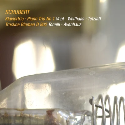 Lars VogtSchubert: Piano Trio No. 1, D. 898 & Trockne Blumen, D. 802 (Live)