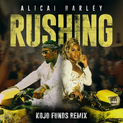 Alicai HarleyDJ ZincRushing (Kojo Funds Remix)