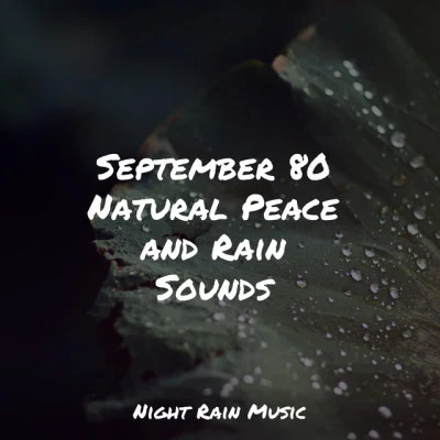 Ready Baby Music!September 80 Natural Peace and Rain Sounds