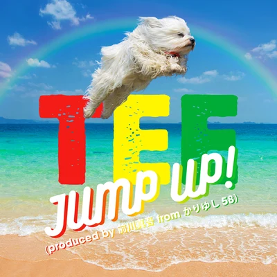 TEEJump Up!