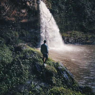 Forest Soundscapes/Rain Sounds For Sleep/Exam Study Classical Music OrchestraRainy Noises for Soft Sleep