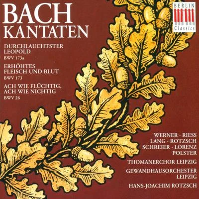 Leipzig Thomaner ChoirJohann Sebastian Bach: Cantatas - BWV 26, 173, 173a (Rotzsch)