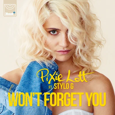 Pixie LottWont Forget You