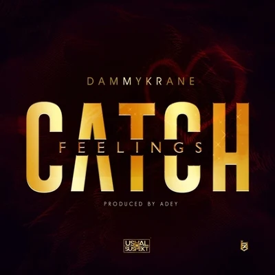 Small Doctor/Dammy KraneCatch Feelings