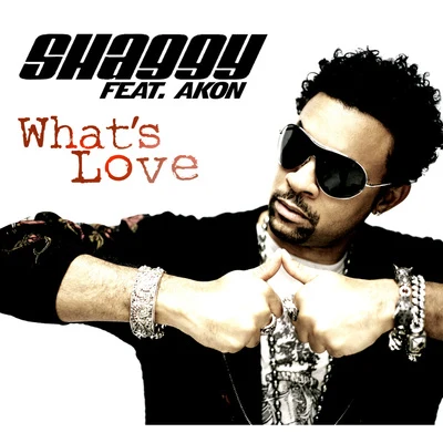 Shaggy/Young Jeezy/Akon/Swae Lee/Pop SmokeWhat Is Love