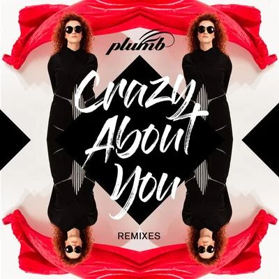 PlumbCrazy About You (Remixes)