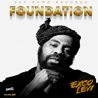 Exco LeviFoundation