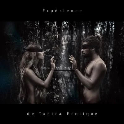 Zone de DétenteExpérience de Tantra Érotique - Collection de musique spirituelle new age grâce à laquelle vous connaîtrez mieux et plus profondément le corps de votr