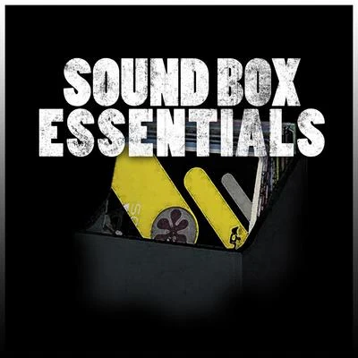 Vibronics/Rod TaylorSound Box Essentials Platinum Edition