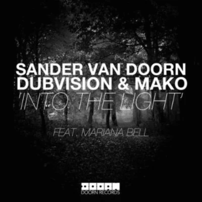 Sander Van DoornInto the Light