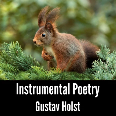 Gustav HolstMayfair Philharmonic OrchestraInstrumental Poetry: Gustav Holst