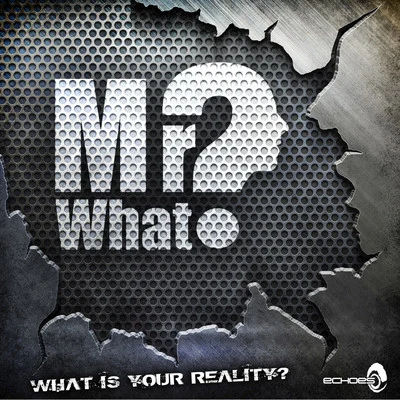 Mr.what?What Is Your Reality?