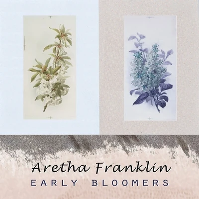 Aretha FranklinEarly Bloomers