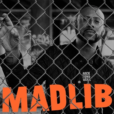 Madlib/DJ Koze/Daniel Lanois/Hi-Tek/Portable/Mndsgn/Dimlite/Marcel Fengler/Strong Arm Steady/BroadcastMadlib - Rock Konducta Part 1 & 2 - 2014