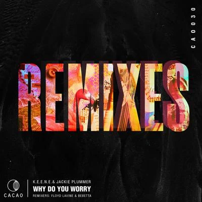 Jackie PlummerWhy Do You Worry Remixes