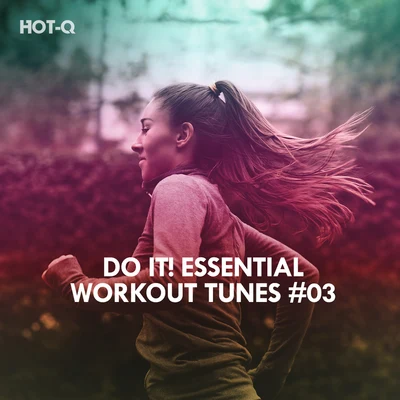 Hot-Q/The Fish House/Roque/Breno GontijoDo It! Essential Workout Tunes, Vol. 03