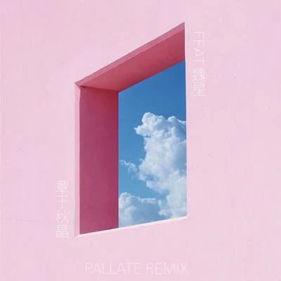 coolz/DoubleX2魏星Pallate cover