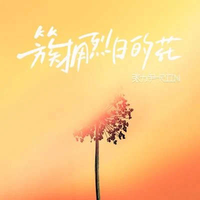 張力尹 (Zhang Liyin)簇擁烈日的花