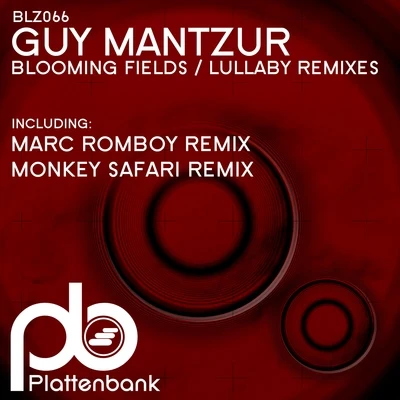 Guy MantzurBlooming FieldsLullaby Remixes