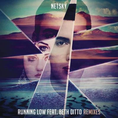 NetskyRunning Low (Remixes)