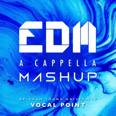 BYU Vocal PointEDM A Cappella Mashup