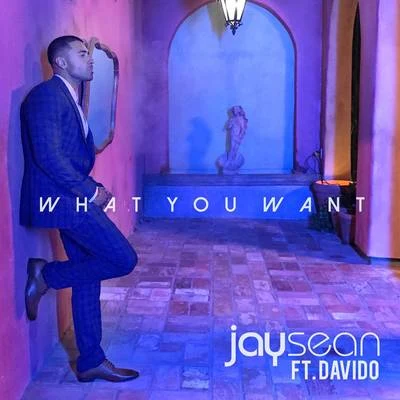 Jay SeanWhat You Want