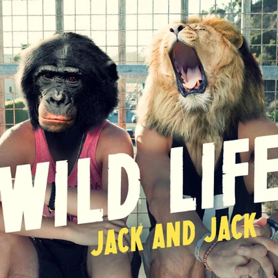 Jack & JackWild Life