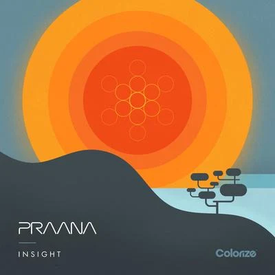 PraanaInsight