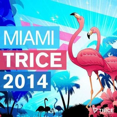 christianMIAMI TRICE 2014