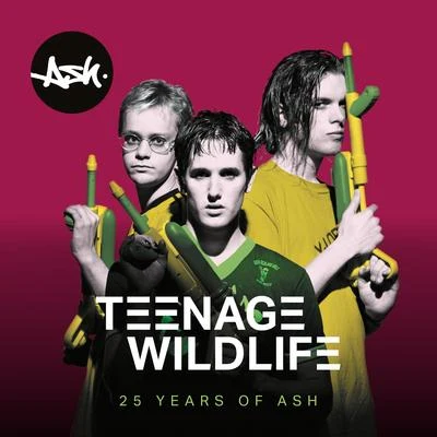 AshTeenage Wildlife - 25 Years of Ash