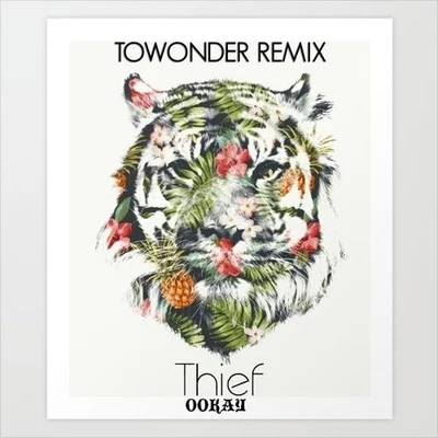 ToWonderThief (ToWonder Remix)