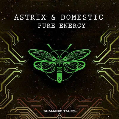 DomesticX-NoizePure Energy