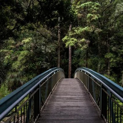 Musicas CriançasMarcha de Meditación