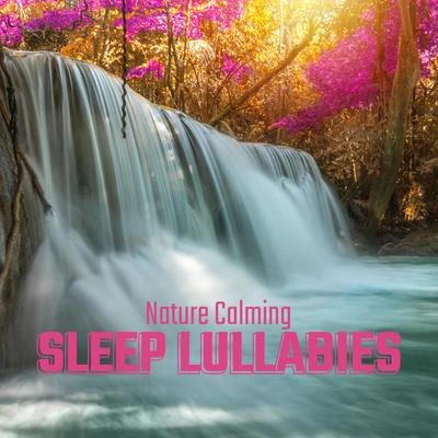 Sleep Sound Library/Study Zone/Organic Nature SoundsNature Calming Sleep Lullabies: 2020 Nature Music for Sleep, Rest and Relax