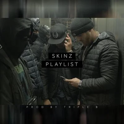 Skinz/FaustixPlaylist