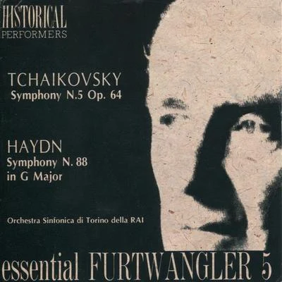 Orchestra Sinfonica di Torino della RaiTchaikovsky: Symphony No. 5 in E Minor - Haydn: Symphony No. 88 in G Major