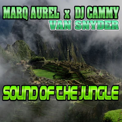 Rayman Rave/Marq Aurel/Kate RanxSound of the Jungle